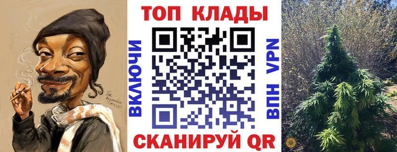 Виды наркотиков купить Любань Cocaine  Alpha-PVP  Псилоцибиновые грибы  ГАШИШ 