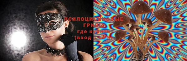 соль курить ск Алзамай