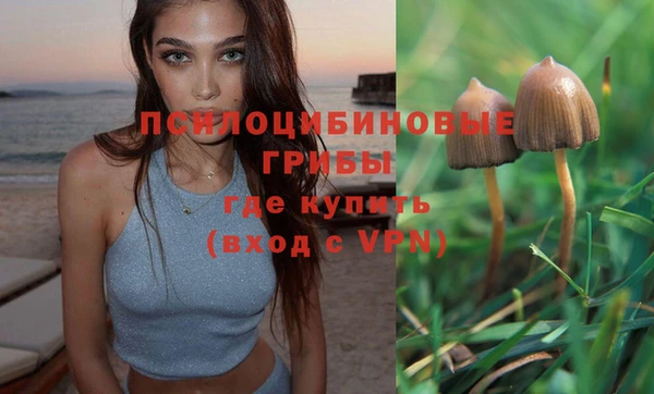 мяу мяу мука Алексин